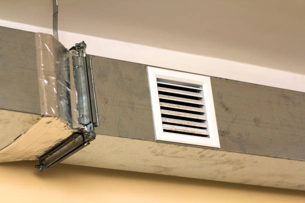 Best Air Duct Mold Removal  in Bainbridge, OH